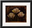 Triple Tulip Ii by Rumi Limited Edition Pricing Art Print