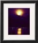 Moonrise by John Pezzenti Jr Limited Edition Pricing Art Print