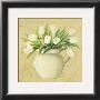 White Tulips In Pitcher by Cuca Garcia Limited Edition Print