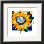 Big Sunflower by Alfred Gockel Limited Edition Print