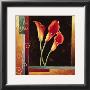 Orange Callas by Jill Deveraux Limited Edition Print