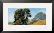 Sauvie's Island by Alan Stephenson Limited Edition Print