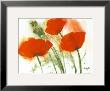 Poppies In The Wind I by Marthe Limited Edition Print