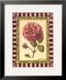Renaissance Rose Ii by Jennifer Goldberger Limited Edition Pricing Art Print