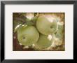 Vintage Apples Iii by Jason Johnson Limited Edition Pricing Art Print