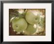 Vintage Apples Iii by Jason Johnson Limited Edition Print