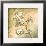 Burlap Apple Blossom by Tina Chaden Limited Edition Print