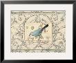 Songbird Etching Ii by Chad Barrett Limited Edition Pricing Art Print