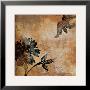 Coromandel I by Loretta Linza Limited Edition Print