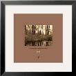 Woods by Bill Timmerman Limited Edition Print