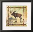 Moose Nature by Walter Robertson Limited Edition Print