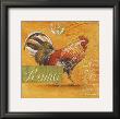 Roma Rooster by Angela Staehling Limited Edition Pricing Art Print