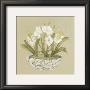White Flowers In White Wicker Basket by Lucciano Simone Limited Edition Pricing Art Print