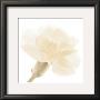 Carnation Ii by George Fossey Limited Edition Pricing Art Print