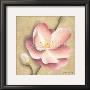 Apple Blossom I by Caroline Wenig Limited Edition Pricing Art Print