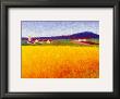 Fields Of Gold by Gail Wells-Hess Limited Edition Print
