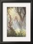 Forest Mist by Jonathon E. Bowser Limited Edition Pricing Art Print