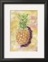 Ananas by Guenter Tillmann Limited Edition Pricing Art Print