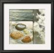 Zen Elements Ii by Donna Geissler Limited Edition Pricing Art Print