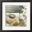 Zen Elements Ii by Donna Geissler Limited Edition Pricing Art Print