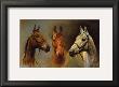 We Three Kings by Susan Crawford Limited Edition Print