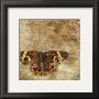 Moth by Susan Friedman Limited Edition Print