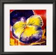 Bloem Ii by Marysia Limited Edition Print