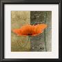 Orange Poppies Vi by Patty Q. Limited Edition Pricing Art Print