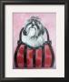 Shih-Tzu Purse by Carol Dillon Limited Edition Print