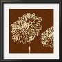 Chrysanthemum Square Iii by Alice Buckingham Limited Edition Print