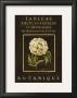 Les Fleurs De Paris Ii by Kimberly Poloson Limited Edition Pricing Art Print