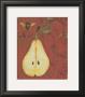 Pear Recollection by Regina-Andrew Design Limited Edition Print