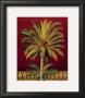 Canary Palm by Rodolfo Jimenez Limited Edition Pricing Art Print