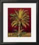 Canary Palm by Rodolfo Jimenez Limited Edition Print