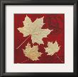 Crimson Maple by Booker Morey Limited Edition Print