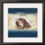 Deep From The Seas by Sabine Gotzes Limited Edition Print