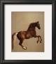 Whistlejacket by George Stubbs Limited Edition Print
