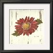 Red Daisy Ii by Grace Pullen Limited Edition Pricing Art Print