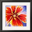 Bloem Iii by Marysia Limited Edition Print