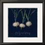 Chalkboard Veggies Ii by Sara Anderson Limited Edition Print