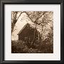 Bough And Barn by Christine Triebert Limited Edition Print