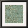Tiffany Lace Ii by Chariklia Zarris Limited Edition Pricing Art Print