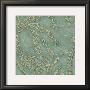 Tiffany Lace Ii by Chariklia Zarris Limited Edition Print