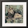 Heart Of The Jungle Ii by Elizabeth Jardine Limited Edition Print