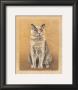 Napo by Laurence David Limited Edition Print