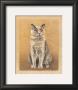 Napo by Laurence David Limited Edition Pricing Art Print