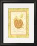 La Pomme by Nancy Slocum Limited Edition Print