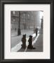 Les Chiens De La Chapelle by Robert Doisneau Limited Edition Print