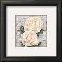 Rose Poetry by Laura Martinelli Limited Edition Pricing Art Print