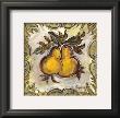 Pear Delight by Joy Alldredge Limited Edition Pricing Art Print
